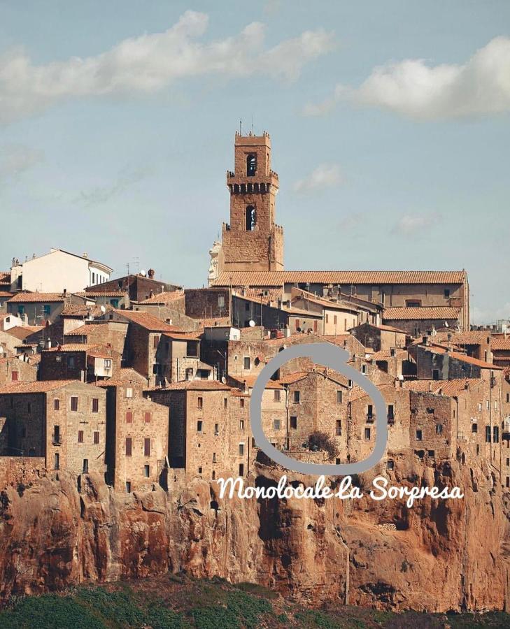 La Sorpresa Monolocale Con Vista Vallata Pitigliano Eksteriør billede