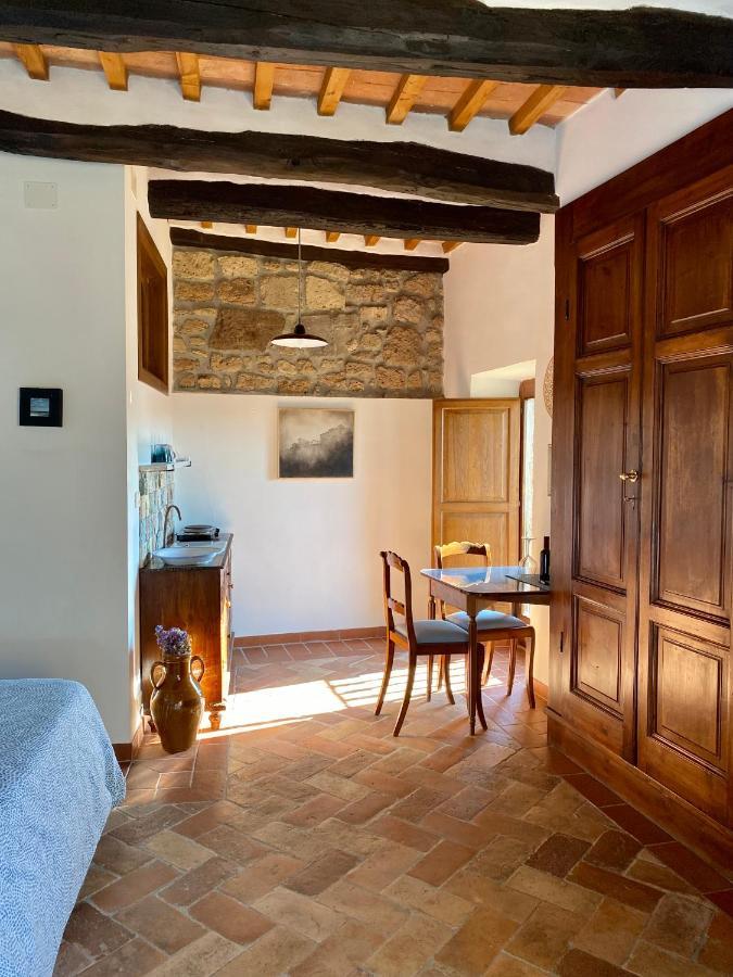 La Sorpresa Monolocale Con Vista Vallata Pitigliano Eksteriør billede