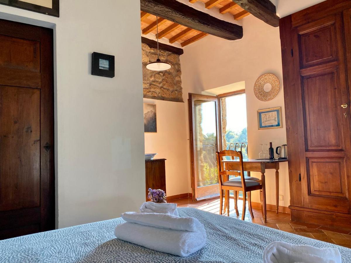 La Sorpresa Monolocale Con Vista Vallata Pitigliano Eksteriør billede