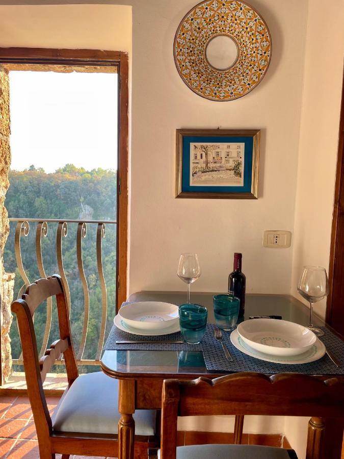 La Sorpresa Monolocale Con Vista Vallata Pitigliano Eksteriør billede