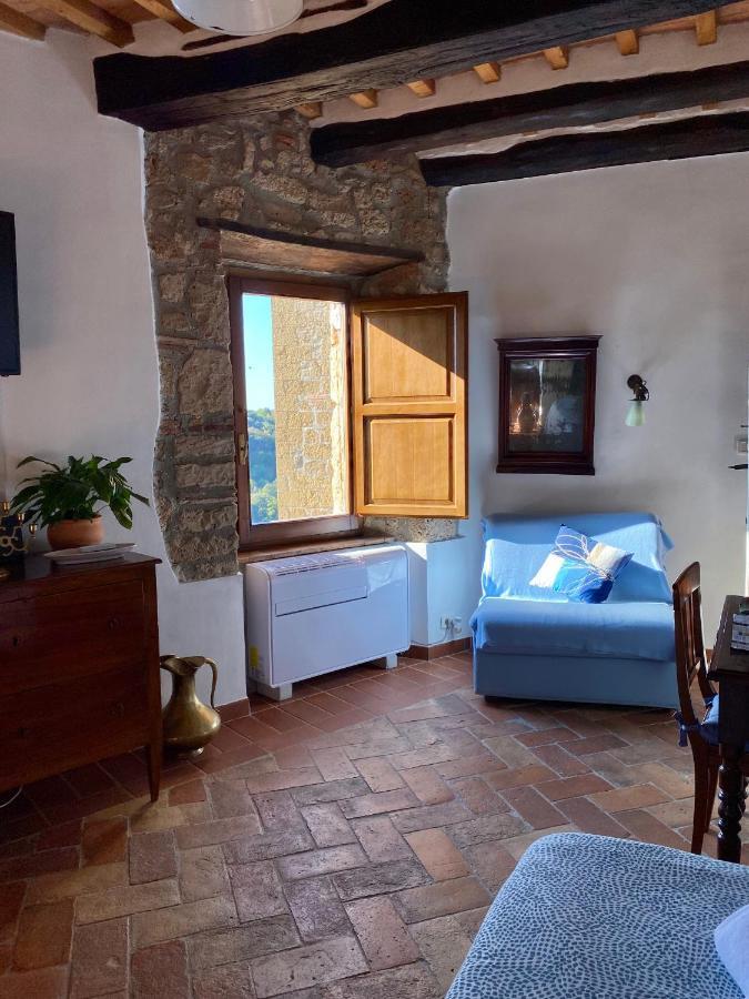 La Sorpresa Monolocale Con Vista Vallata Pitigliano Eksteriør billede