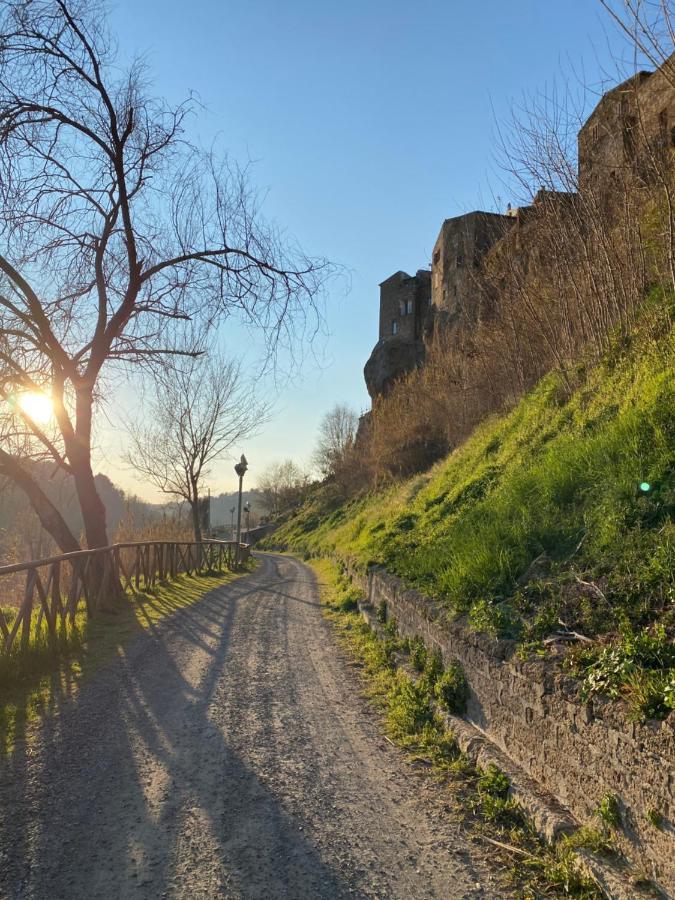 La Sorpresa Monolocale Con Vista Vallata Pitigliano Eksteriør billede