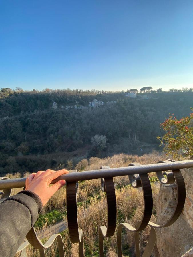 La Sorpresa Monolocale Con Vista Vallata Pitigliano Eksteriør billede