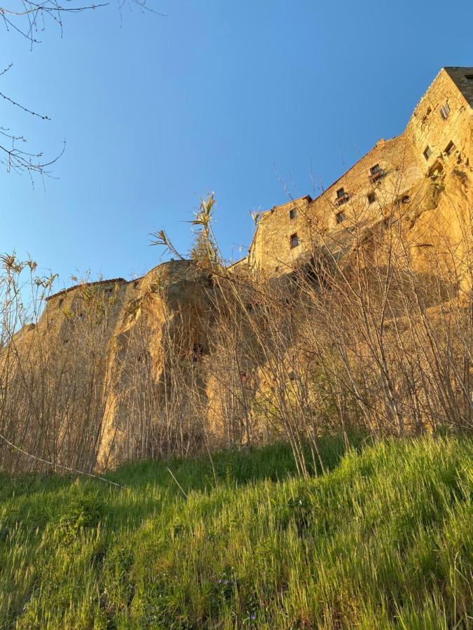 La Sorpresa Monolocale Con Vista Vallata Pitigliano Eksteriør billede