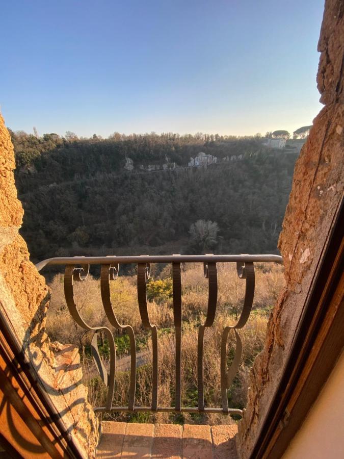 La Sorpresa Monolocale Con Vista Vallata Pitigliano Eksteriør billede