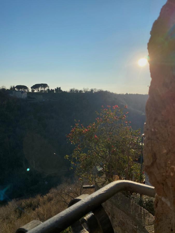 La Sorpresa Monolocale Con Vista Vallata Pitigliano Eksteriør billede