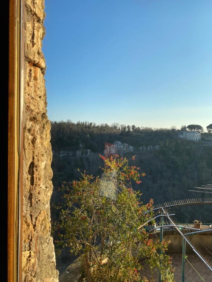 La Sorpresa Monolocale Con Vista Vallata Pitigliano Eksteriør billede