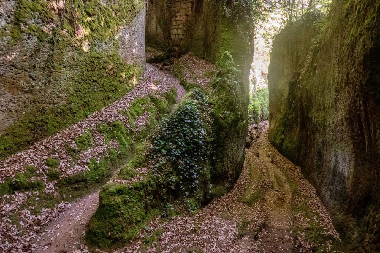 La Sorpresa Monolocale Con Vista Vallata Pitigliano Eksteriør billede