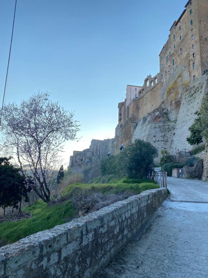 La Sorpresa Monolocale Con Vista Vallata Pitigliano Eksteriør billede