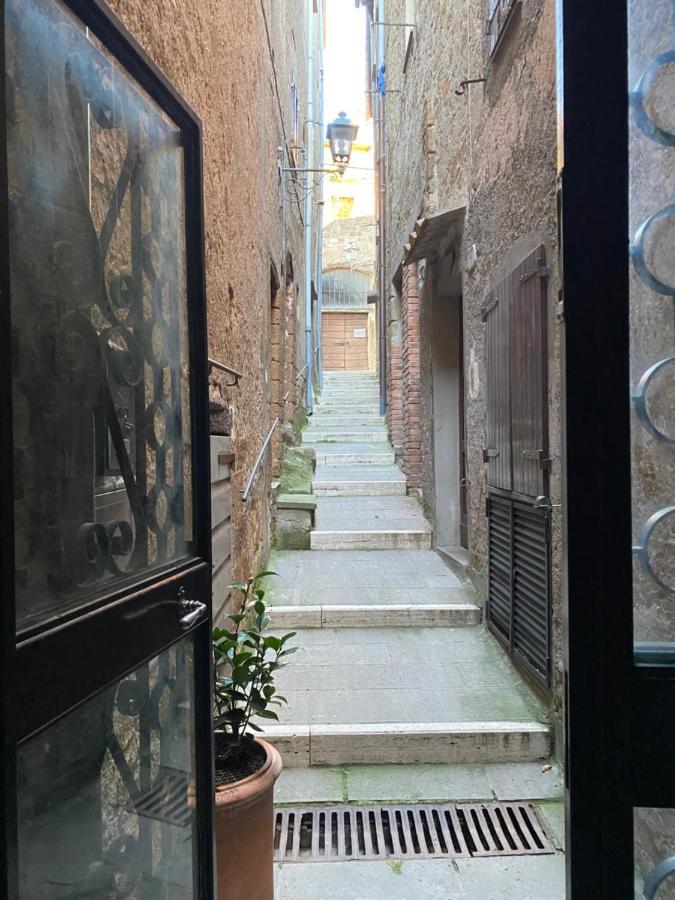 La Sorpresa Monolocale Con Vista Vallata Pitigliano Eksteriør billede